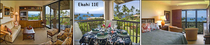 wailea ekahi 11e